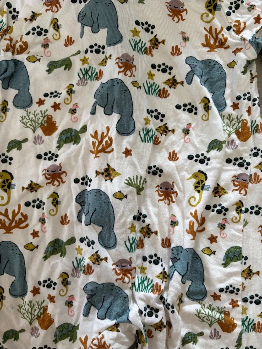Unbranded Light Blue Trim Kids Footed Pajamas with Ocean Animal Print
